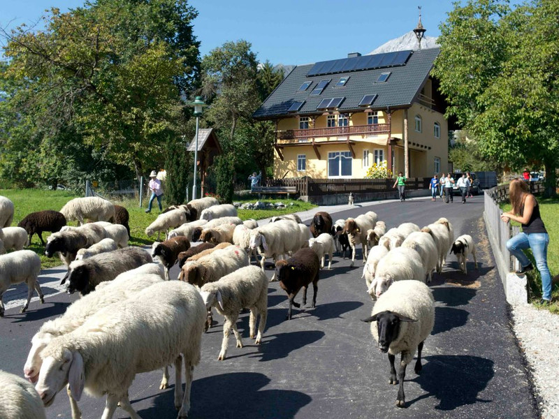 Villa Waldheim