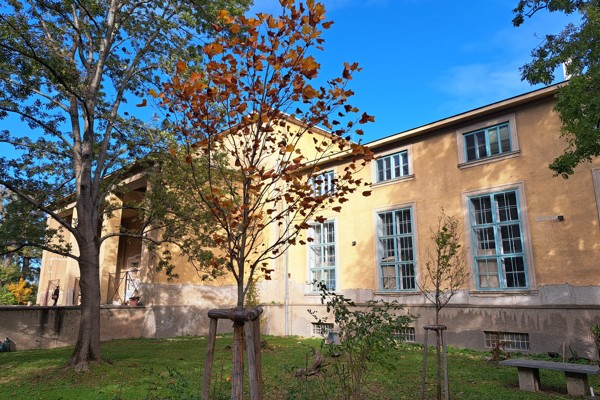 Praterateliers - Nordpavillon