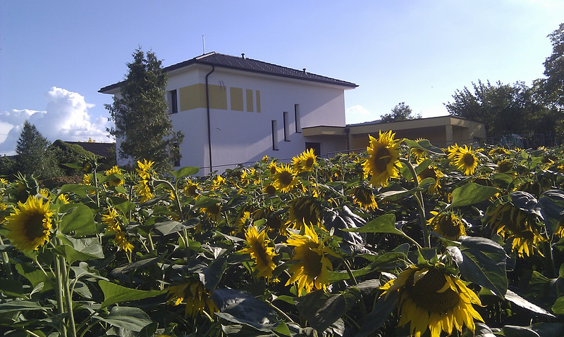 EFH Kummerer