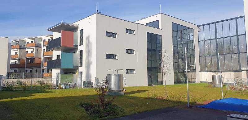 Neubau Lindenweg VI - Haus A
