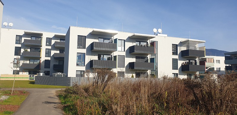 Neubau Lindenweg VI - Haus C
