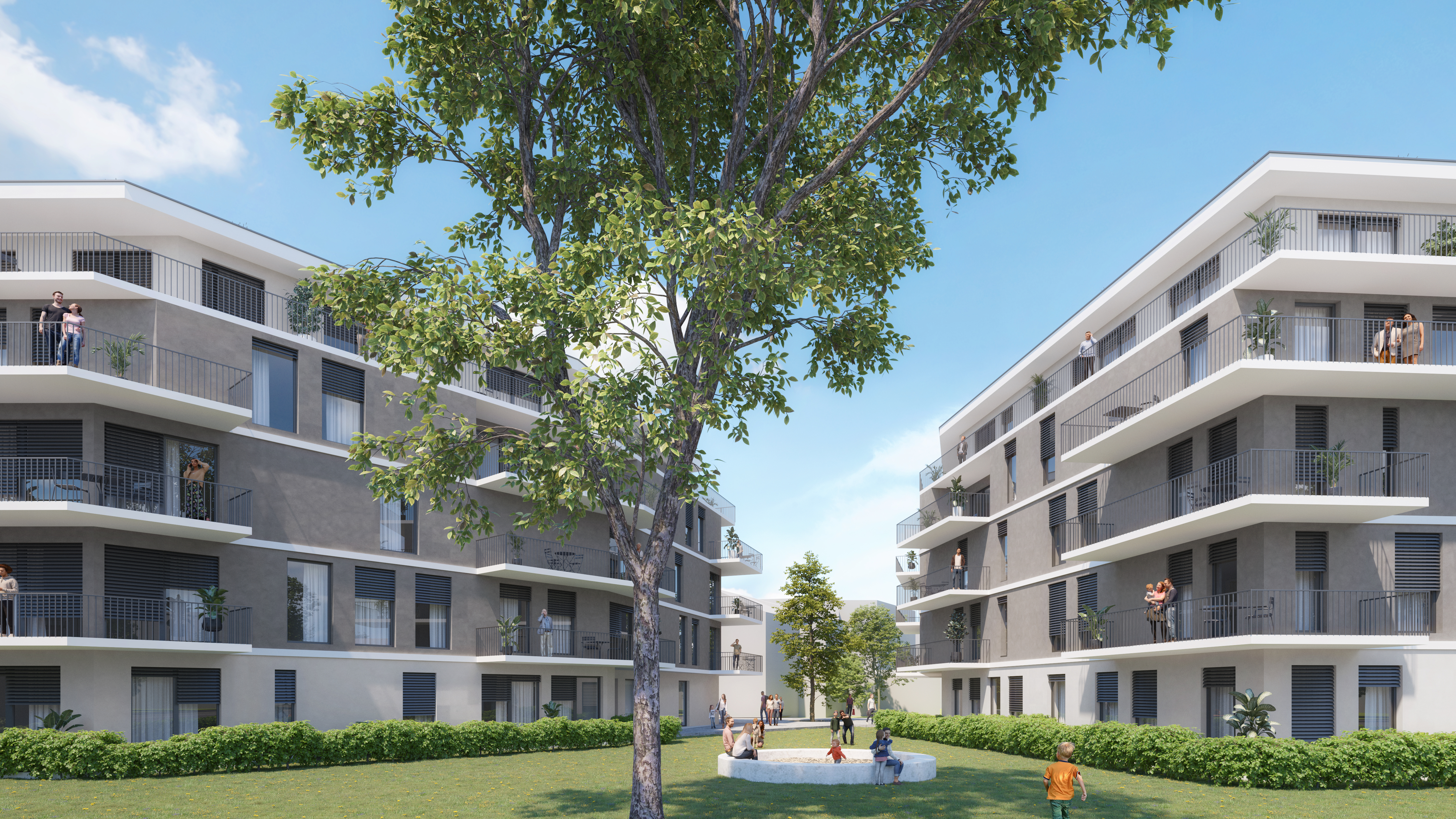 23-270B Wohnbau Mitterstraße 9_2