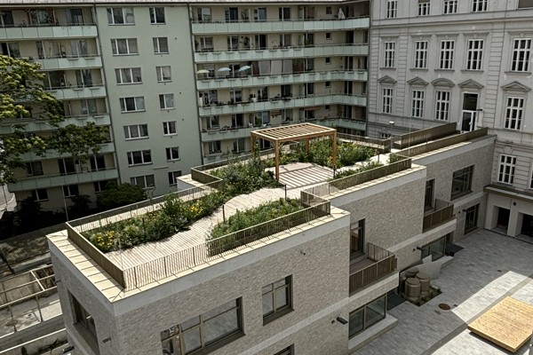 BG Wien 2 Zirkusgasse_Neubau
