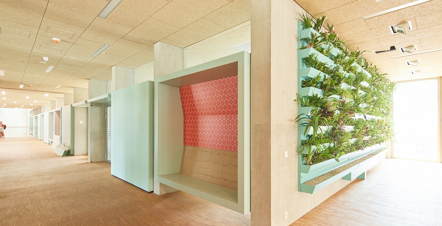 Zubau BG BRG Konrad Lorenz Gymnasium